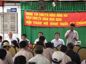 Dong Nai’s agriculture oriented to stable development