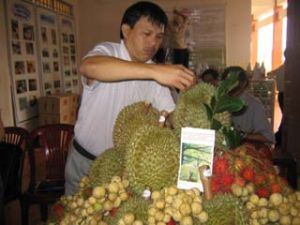 Output value of agriculture, forestry and aquaculture in 2009 is up 1.54%.