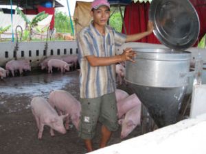 Agricultural Bank and Long Chau Company cooperate in agriculture