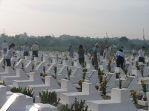 同奈青年向往7月27日烈士荣军干纪念日