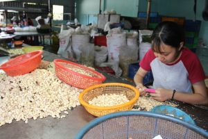 加工農産物の市場開発