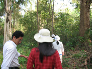 Enhancing forest fire safety in the dry season 2009-2010