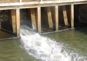 Low Rainfall Has an Impact on Agricultural Production