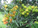 Production of farming, aquatic and forest products continues to grow.