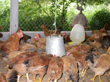 A look back at one-year of  agriculture industry