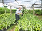 Dong Nai province: having 175 cooperatives, co-operative unions and people’s credit funds