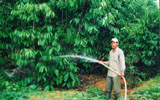 Production values of agriculture-forestry-fishery sector are 4.4% higher than the same period
