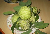 2008 Eastern South Preliminary Contest on Good Apple Custard Varieties