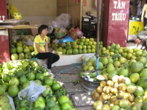 Bumper crop of Tet pomeloes – Low price sold by farmers