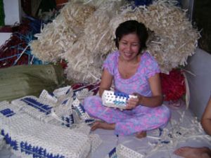 省妇女联协会：妇女们的共居之屋