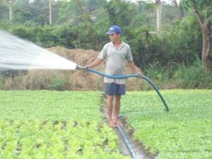 Agricultural production continues to grow