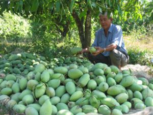 Agriculture should focus on synchronous production