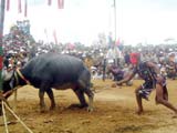 Festival of Sport and Culture for Southeastern ethnic groups leaves with deep impression