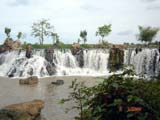 Giang Dien Eco-Tourism Area to Receive Visitors On the Occasion Of Lunar New Year