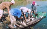 Dong Nai province to establish 25 new cooperatives in 2006