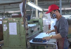 EVFTA協定の実際の導入