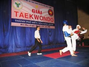 第六届边和市运动会开幕式预计将在2009年12月月初进行