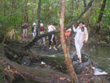A typical model of ecological tourism in Dong Nai should be put forward