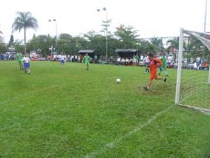 2009年同奈省足球冠军比赛：公有7队参赛