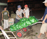 Sleepless nights in wholesale markets.