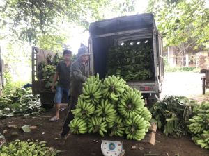 기업은 연결 사슬 투자에 관심이 없음