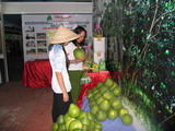 The 3rd “Entrepreneurs’ Meeting Place” Fair to be held between 10 and 15 October