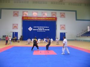 2010年同奈省第五届运动会：古传武术比赛开场