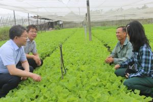 省全体で12.7千ヘクタール以上のあらゆる種類の野菜が開発