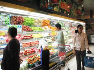 Sales value of goods in February 2009 estimated at VND5,404 billion