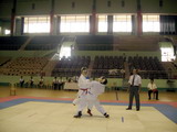 2008年同奈-东南部第六地区空手道冠军比赛开幕。