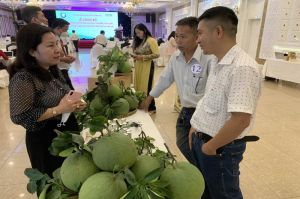 OCOP 제품 거차 증가