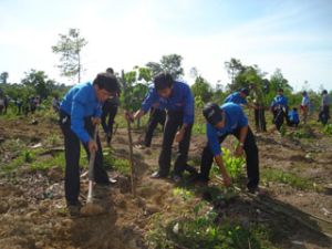 Tetra Pak Vietnam Company Grows Plants in Vinh Cuu Natural Conservation Zone and Relic