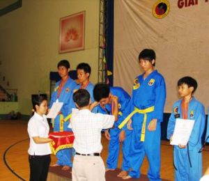 2009年同奈省越南Vovinam比赛落下帷幕