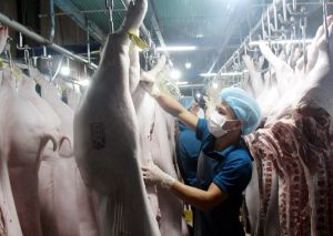 省内に動物虐殺場のネットワークを構築する