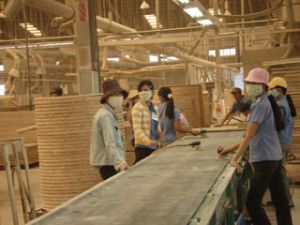 Average Monthly Earnings of Laborers in Dong Nai Reach VND1.6 Million to VND2.2 Million
