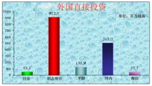 同奈省2009年上半年的一些目标与全国各省、城市的相比