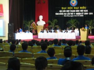 第五届同奈省越南青年联合会代表大会（任期2009-2014年）拉开帷幕