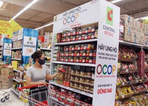 OCOP製品の所有者の50％以上が製品アッピールのWebサイトを持つように支援する。