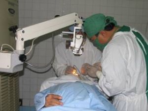 同奈省取得许多较为全面的重要成就