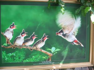 Fine Art Photography Exhibition Opens