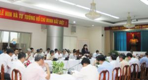 同奈省召开会议对4年落实2006-2010年经济-社会发展五年计划进行评价