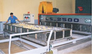 调整2009年经济社会发展目标指标