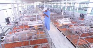 企業は世界市場の厳しい要件を満たせる自信を持っています