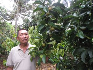 Long Khanh市にはまだたくさんの農地があります