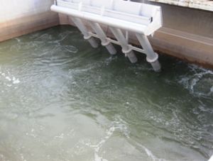 World Water Day 2011: “Water for urban development”