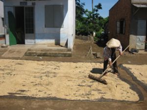 Five-year poverty reduction program summed up: Towards sustainability