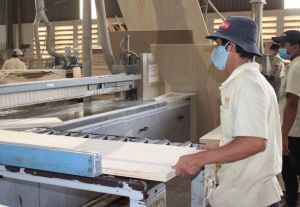 感染リスクの高い工業団地の労働者の20％への抜き取り検査