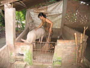 The Provincial Women’s Association Mobilized VND6.4 billion for its Members’ Economic Development.