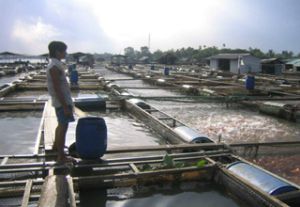 More than 1,500 Farmer Households Get Loans for their Production