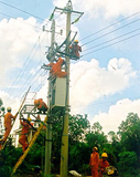 Dong Nai stepped up program of rural electrification